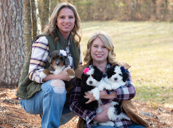 Sheepadoodle and Bernedoodle Breeder in Tennessee