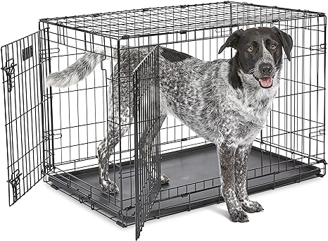 36 Midwest Double Door Dog Crate