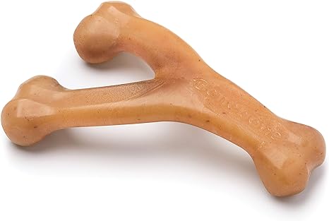 Wishbone Durable Dog Chew Toy